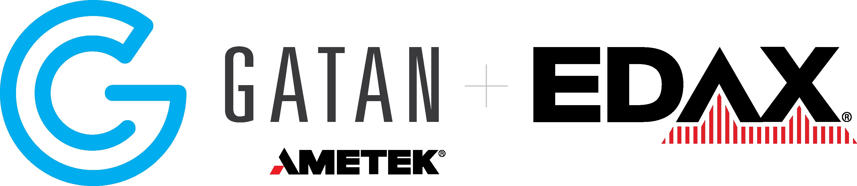 Logo 4
