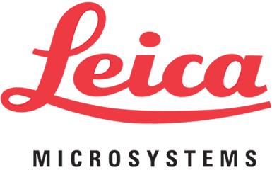Logo 5